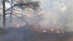 گرمای بی‌سابقه و خشکسالی در اروپا/زنگ هشدار آتش سوزی به صدا در آمد