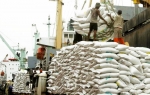 خبر نه چندان جالب برای کشاورزان؛ واردات برنج آزاد شد