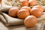 مصرف سرانه تخم مرغ  هر ایرانی در سال ۲۰۰ عدد است