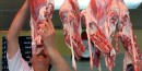برنامه وزارت کشاورزی و صنعت برای به تعادل رساندن قیمت گوشت قرمز با ارز نیمایی
