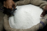 حذف ارز دولتی واردات شکر باید در زمان مناسب انجام شود