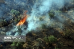 بی توجهی در آتش زدن پرچین، جنگل بردنا را طعمه حریق کرد
