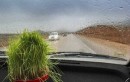 پیش بینی وضعیت آب و هوا استان مازندران در سیزده بدر 98 / کدام شهرهای مازندران 13 فروردین 98 بارانی است؟