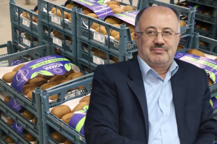 جهش صادراتی مرکبات مازندران/ بیش از ۱۰ هزار تن محصول راهی بازارهای جهانی شد